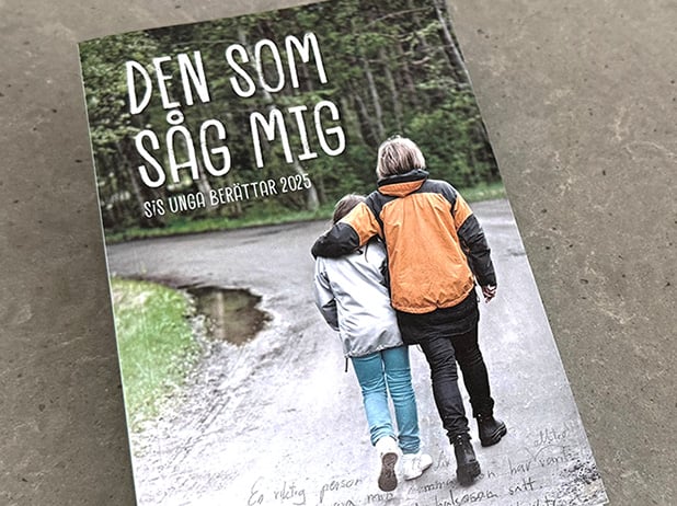 Bild på boken "Den som såg mig" från 2025.