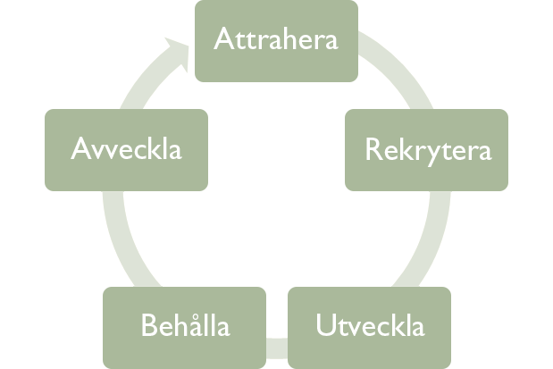 ARUBA-modellen